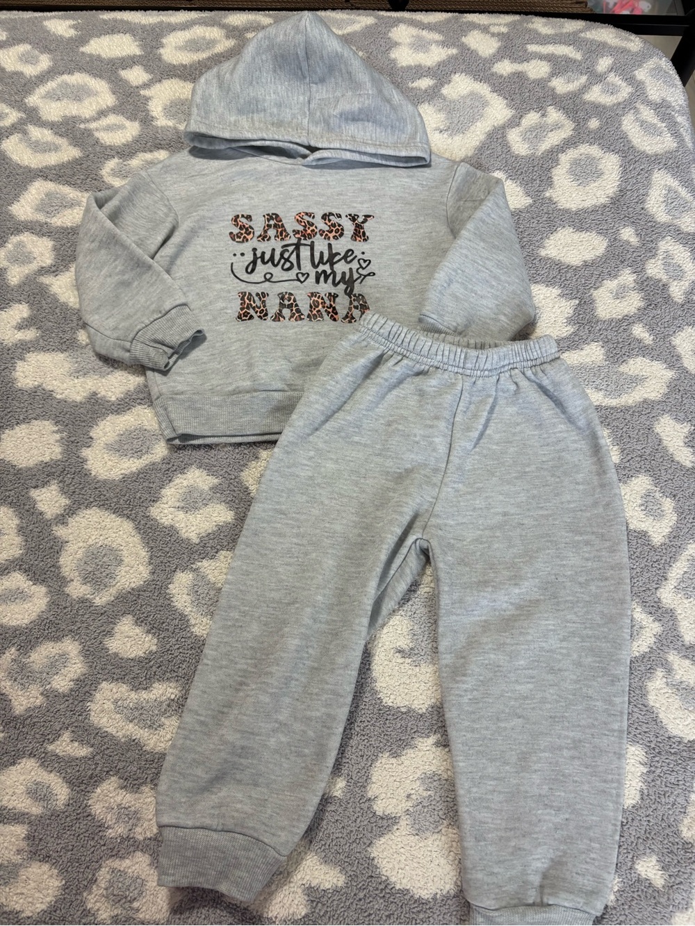 SHEIN Gray Hoodie & Jogger Set with Leopard Print Accent 2-3Y